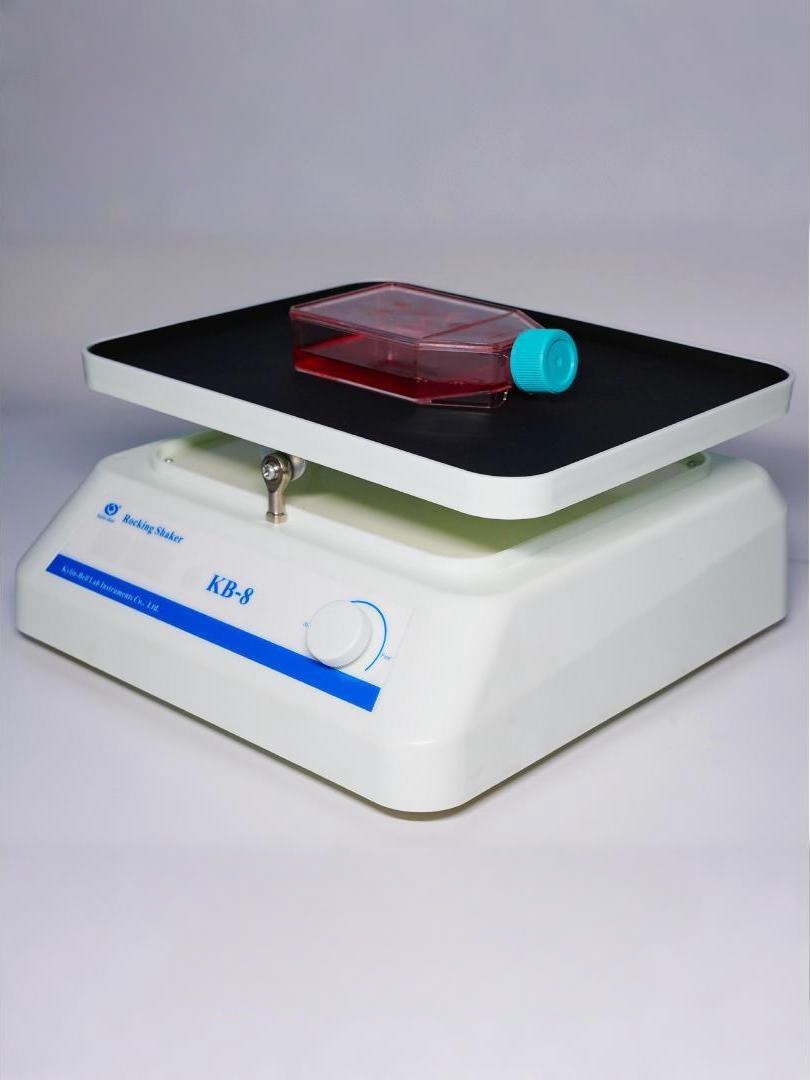 Transfer decolorization shaker KB-8