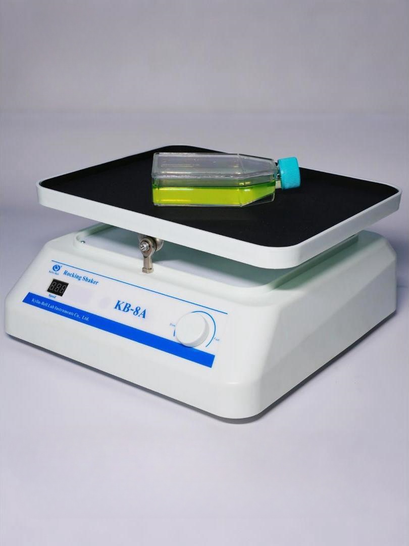 Transfer decolorization shaker KB-8A