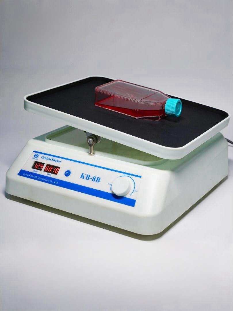 Transfer decolorization shaker KB-8B