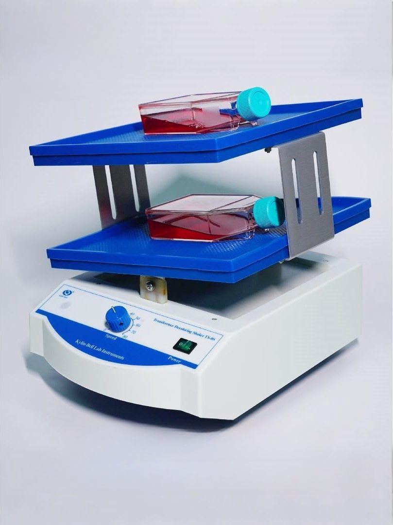 Transfer decolorization shaker TS-8S